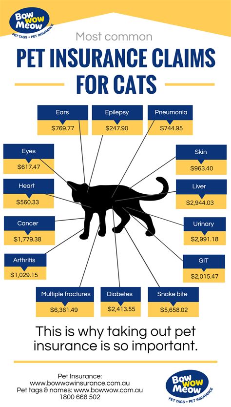 lv pet insurance for cats.